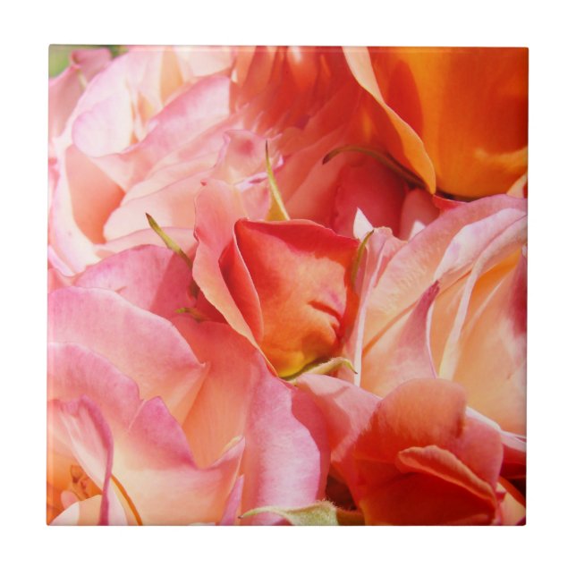 Rosa Blume Fliesen kunstvolle Rose (Vorderseite)