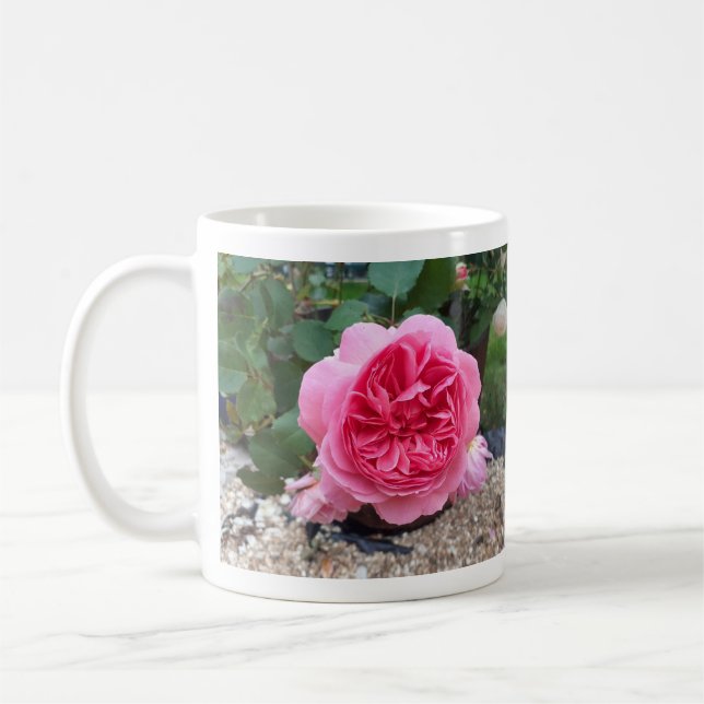 Rosa Blume Flora Botanische Garten Tasse (Links)