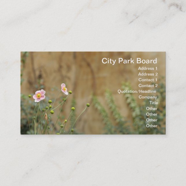 Rosa Blume gegen die Kirchenmauer Visitenkarte (Vorderseite)