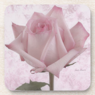 Rosa-Blume Getränkeuntersetzer