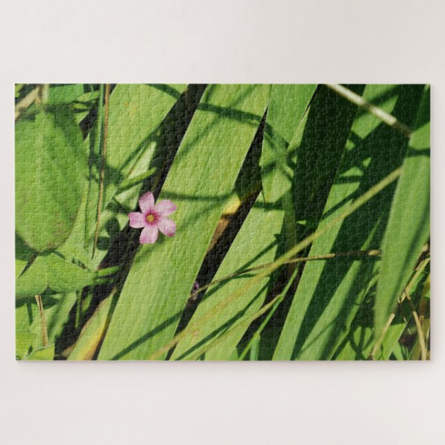 Rosa Blume Grüne botanische Fotografie Grafik (Horizontal)