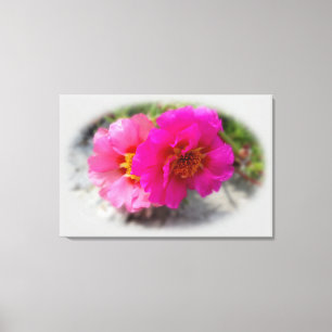 Rosa Blume in der Sonne Leinwanddruck
