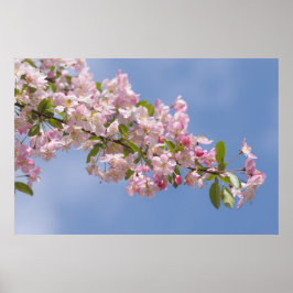 Rosa Blume in Obstgarten Poster