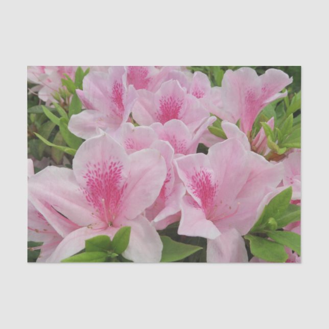 rosa Blume, japanisch, asiatisch, chinesisch, mode Seidenpapier (Vorderseite)