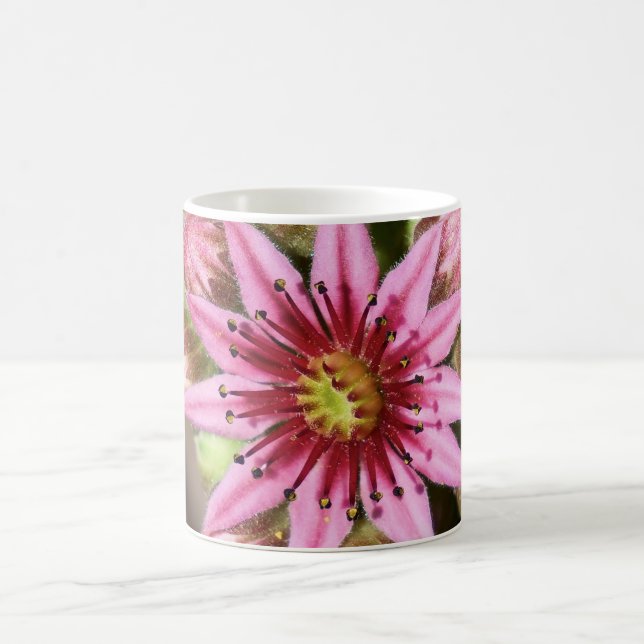 Rosa Blume Kaffeemaschine Kaffeetasse (Mittel)