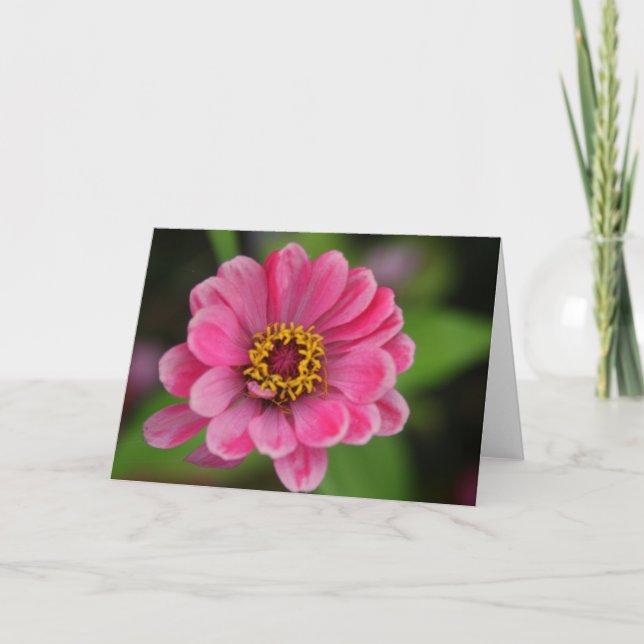 rosa Blume Karte (Vorderseite)