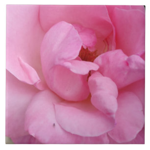 Rosa Blume Keramik Fliese
