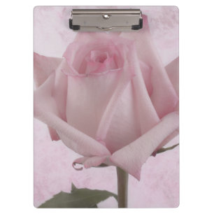 Rosa-Blume Klemmbrett