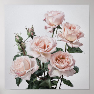 Rosa Blume Kunst drucken Poster