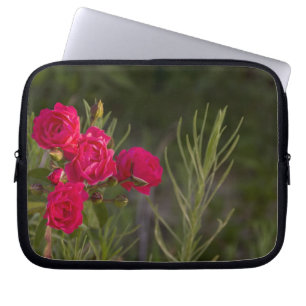 Rosa Blume Laptopschutzhülle