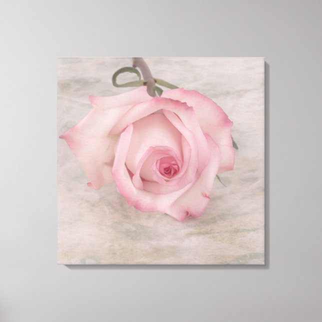 Rosa-Blume Leinwanddruck (Vorderseite)