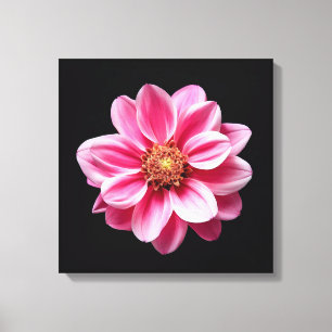 Rosa Blume Leinwanddruck