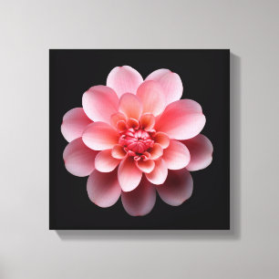 Rosa Blume Leinwanddruck