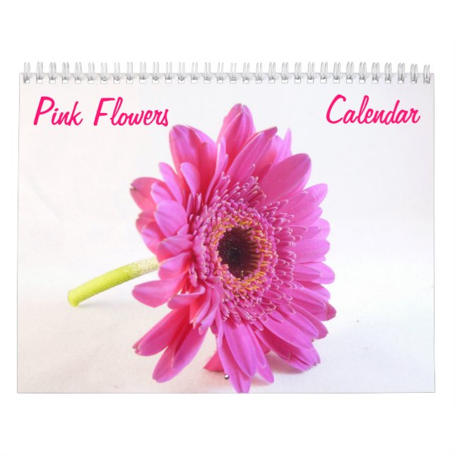Rosa Blume Mauerkalender Kalender (Titelbild)
