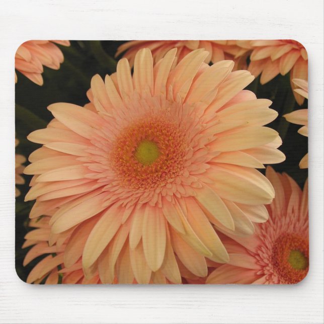 Rosa Blume Maus-Pad Mousepad (Vorne)