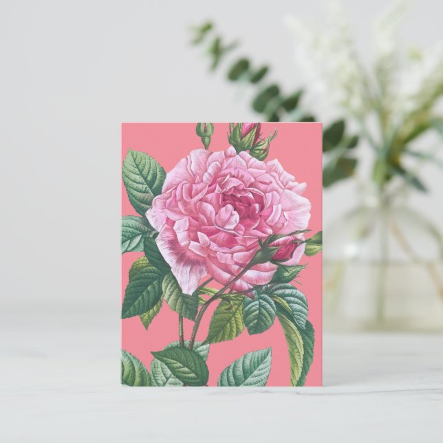 Rosa Blume mit grünen Blätter Postkarte (Stehend Vorderseite)