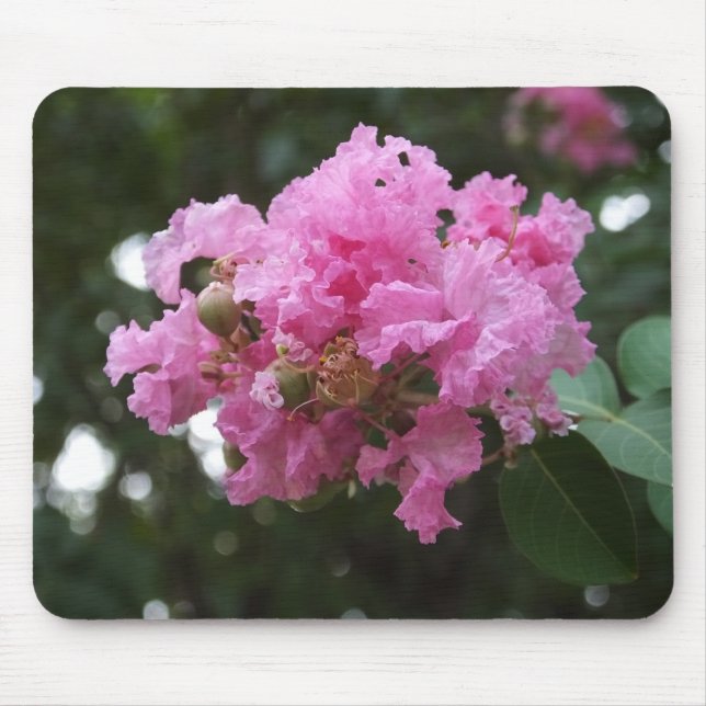 Rosa Blume Mousepad (Vorne)