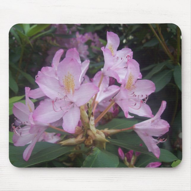 Rosa Blume Mousepad (Vorne)