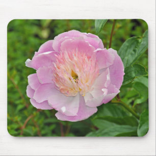 Rosa Blume Mousepad