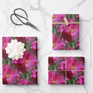 Rosa Blume Muster Natur Geschenkpapier Set