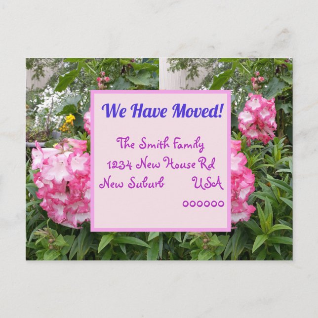 Rosa Blume Neue Postkarte, wir bewegen uns Postkarte (Vorderseite)