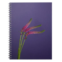 Rosa Blume Notebook
