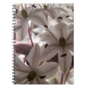 Rosa Blume Notebook Notizblock