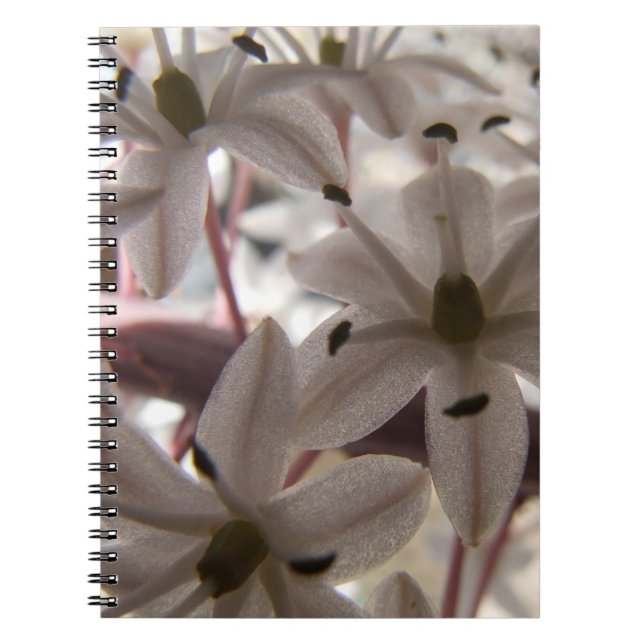 Rosa Blume Notebook Notizblock (Vorderseite)