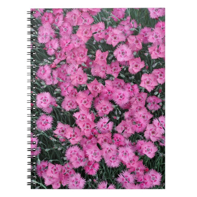 Rosa Blume Notizblock (Vorderseite)