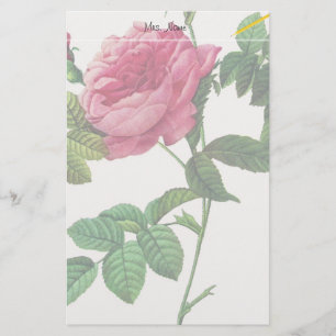 Rosa Blume, Pierre Joseph Redouté Briefpapier