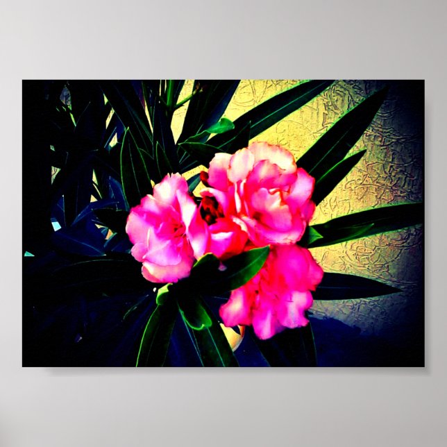 Rosa Blume Poster (Vorne)