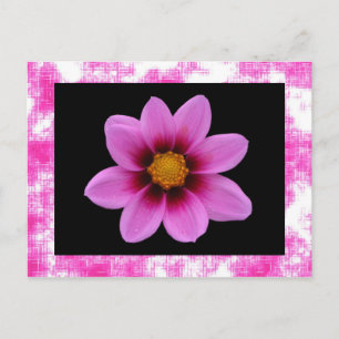 Rosa Blume Postkarte