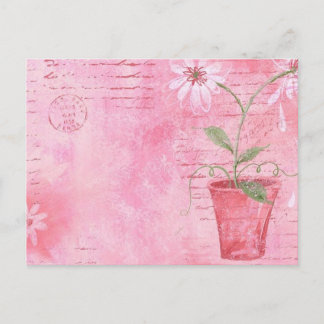Rosa, Blume Postkarte