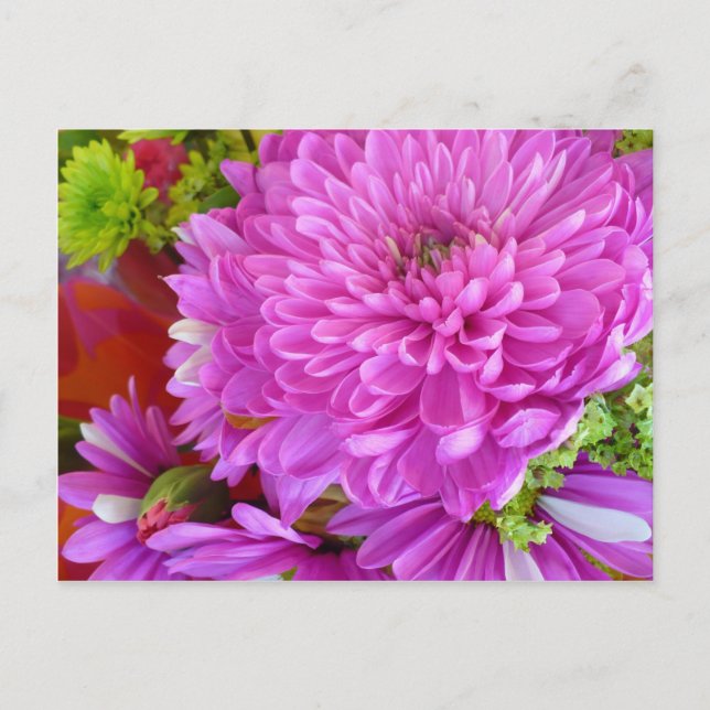Rosa Blume Power Postkarte (Vorderseite)