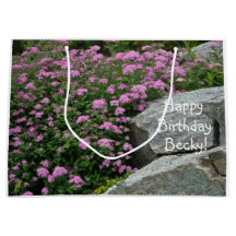 Rosa Blume Rock Garden