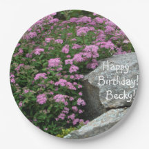 Rosa Blume Rock Garden
