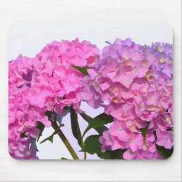 Rosa Blume, rosa Hydraen Mousepad