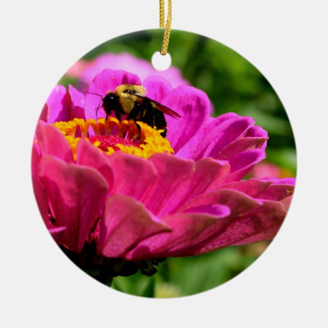 Rosa Blume Rosa Zinnia mit Hummeln Keramikornament (Vorne)