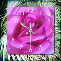 Rosa Blume Rose Foto modern stilvoll und kühl