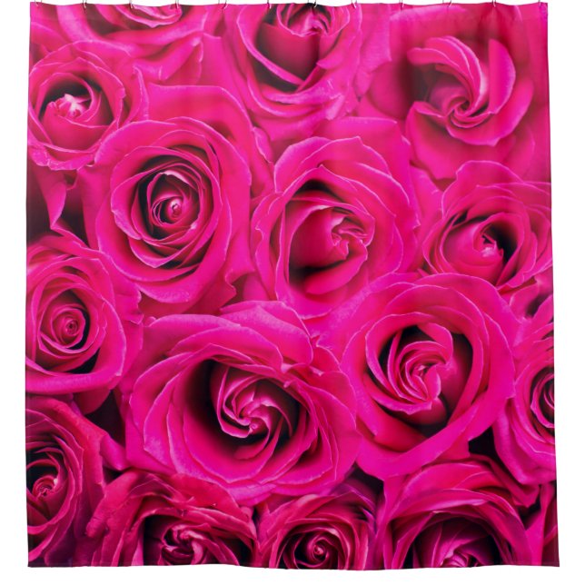 Rosa Blume Rose Hintergrund Duschvorhang (Vorderseite)