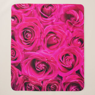 Rosa Blume Rose Hintergrund Sherpadecke
