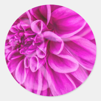 Rosa Blume Runder Aufkleber