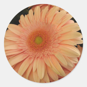 Rosa Blume Runder Aufkleber