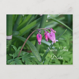Rosa Blume Save the Date Postkarte