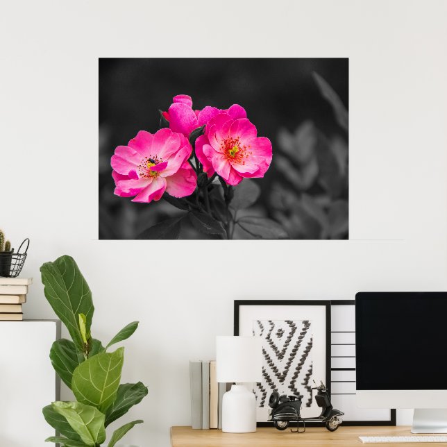 Rosa Blume Schwarz-weiß Monochrome Poster (Heimbüro)