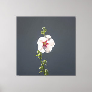 Rosa Blume Schwarze grüne Blätter auf dunkelgrau Leinwanddruck