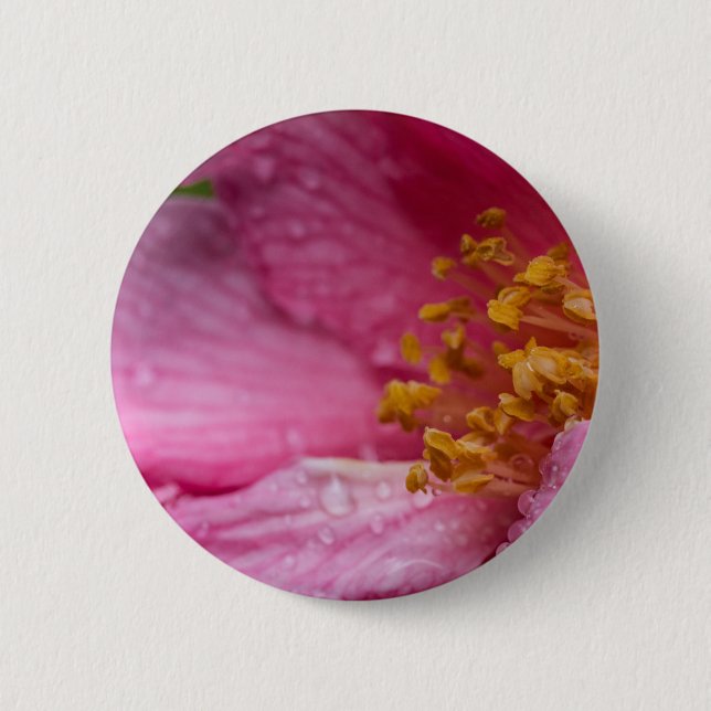 Rosa Blume Stamens Button (Vorderseite)