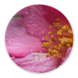Rosa Blume Stamens Keramikknauf