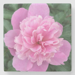 Rosa Blume Steinuntersetzer