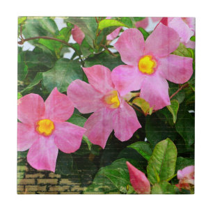 Rosa Blume Tile Fliese